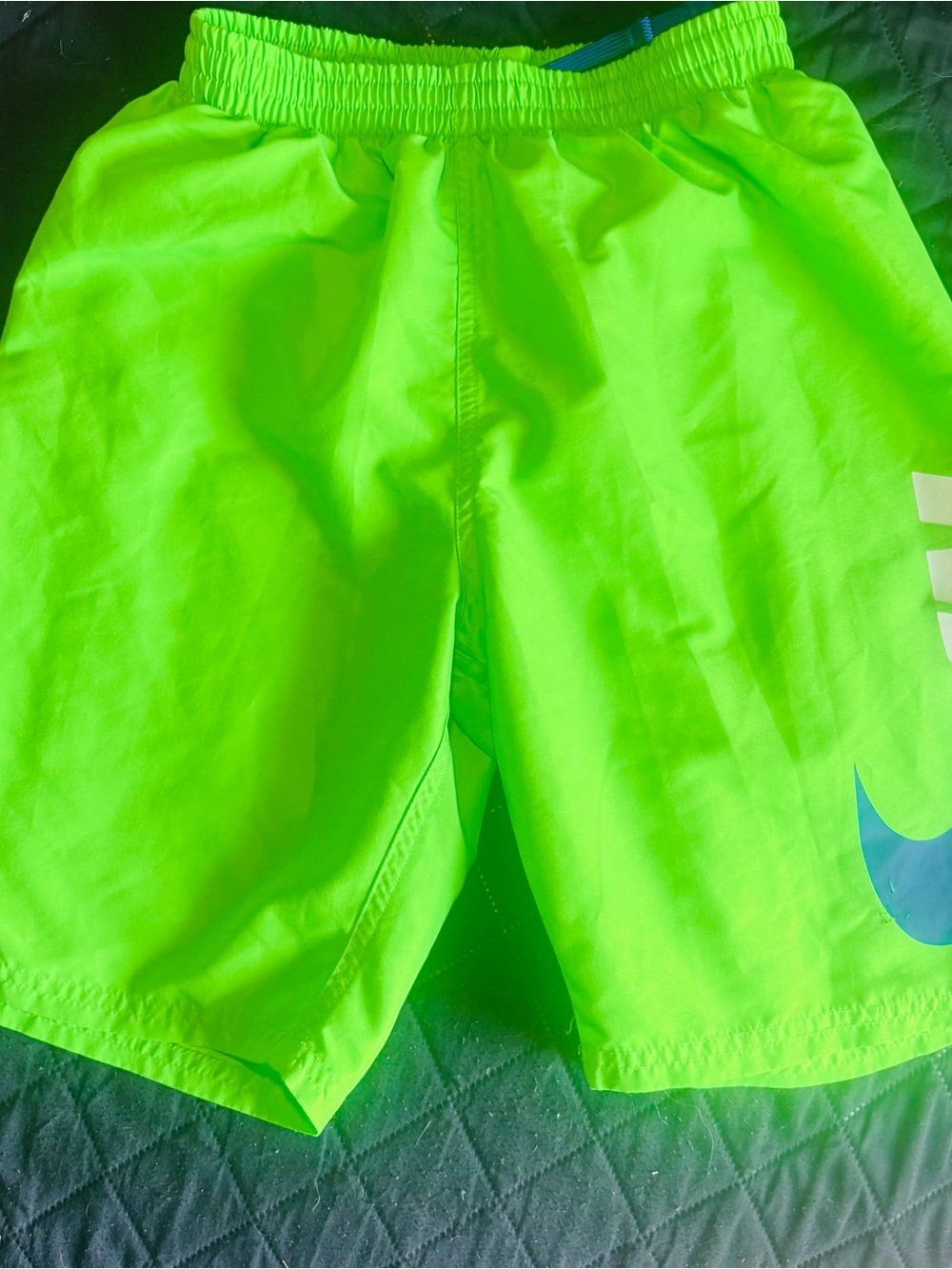 Nike Boys XL Swim Trunks Green